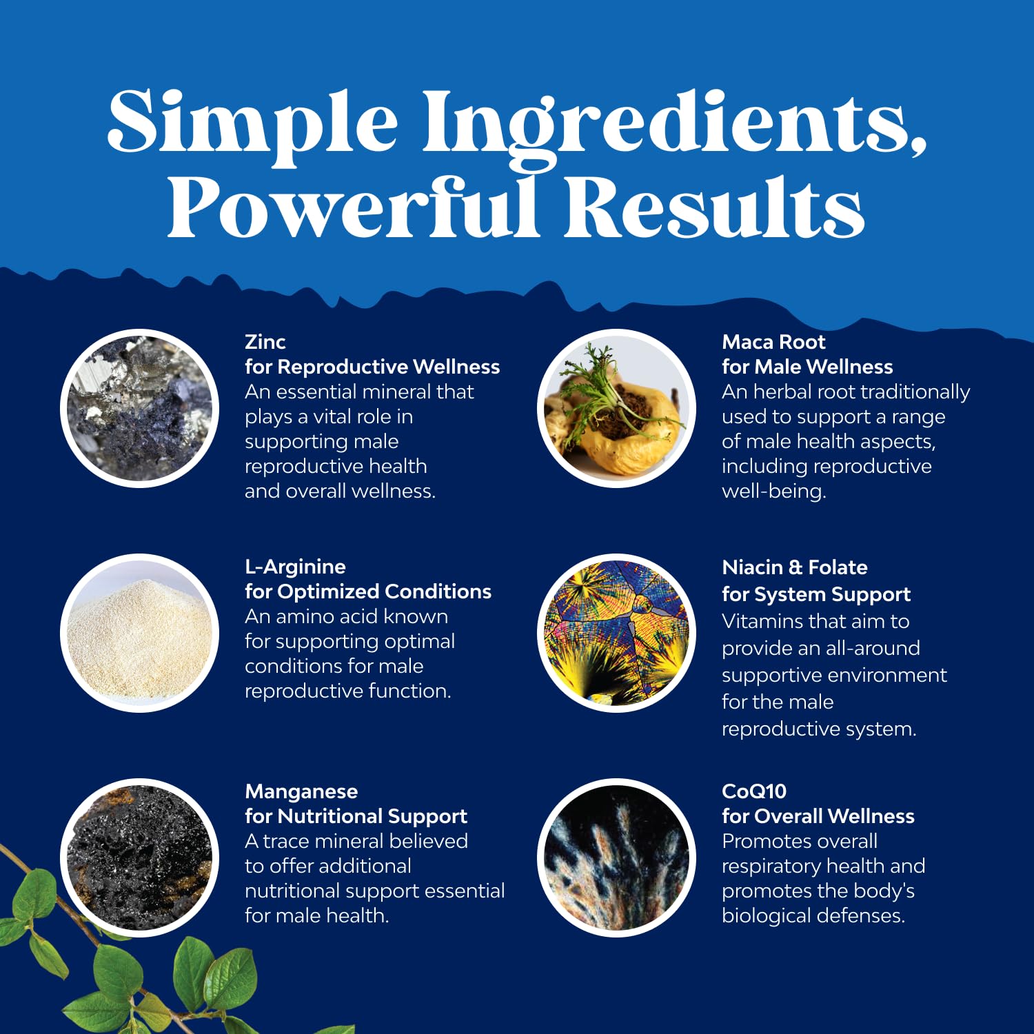 Male Fertility Supplements - Mens Prenatal Vitamins - 90 Count — Amazon image 5