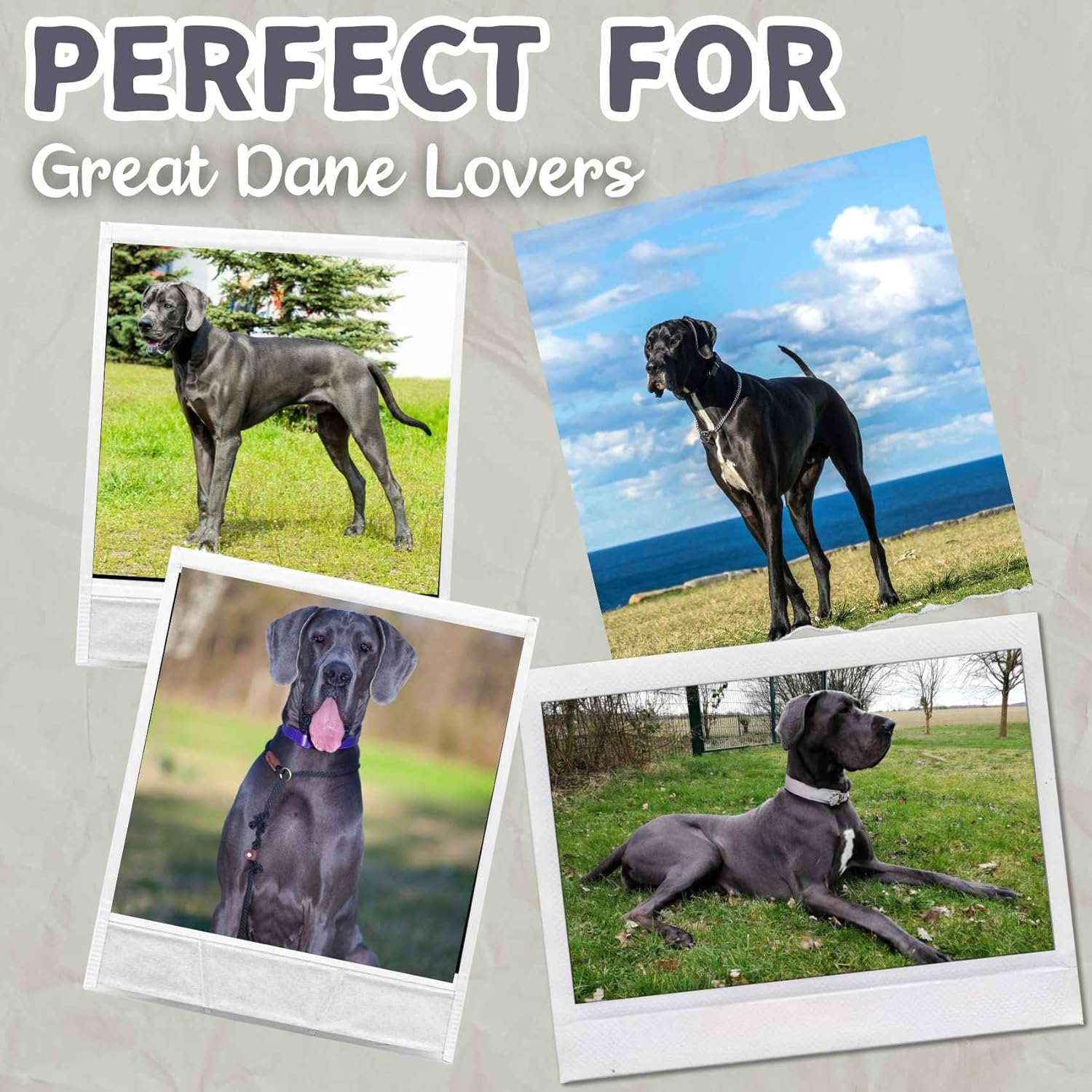 Great Dane Gifts for Dog Lovers & Dog Mom, Wearable Flannel Great Dane Blanket Hoodie with Two Large Pocket - Image 7