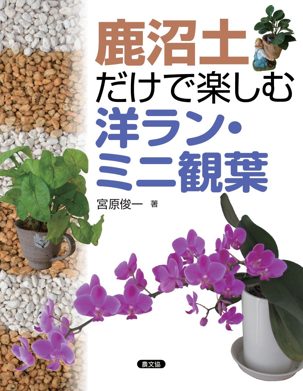 鹿沼土だけで楽しむ洋ラン ミニ観葉 俊一 宮原 本 通販 Amazon
