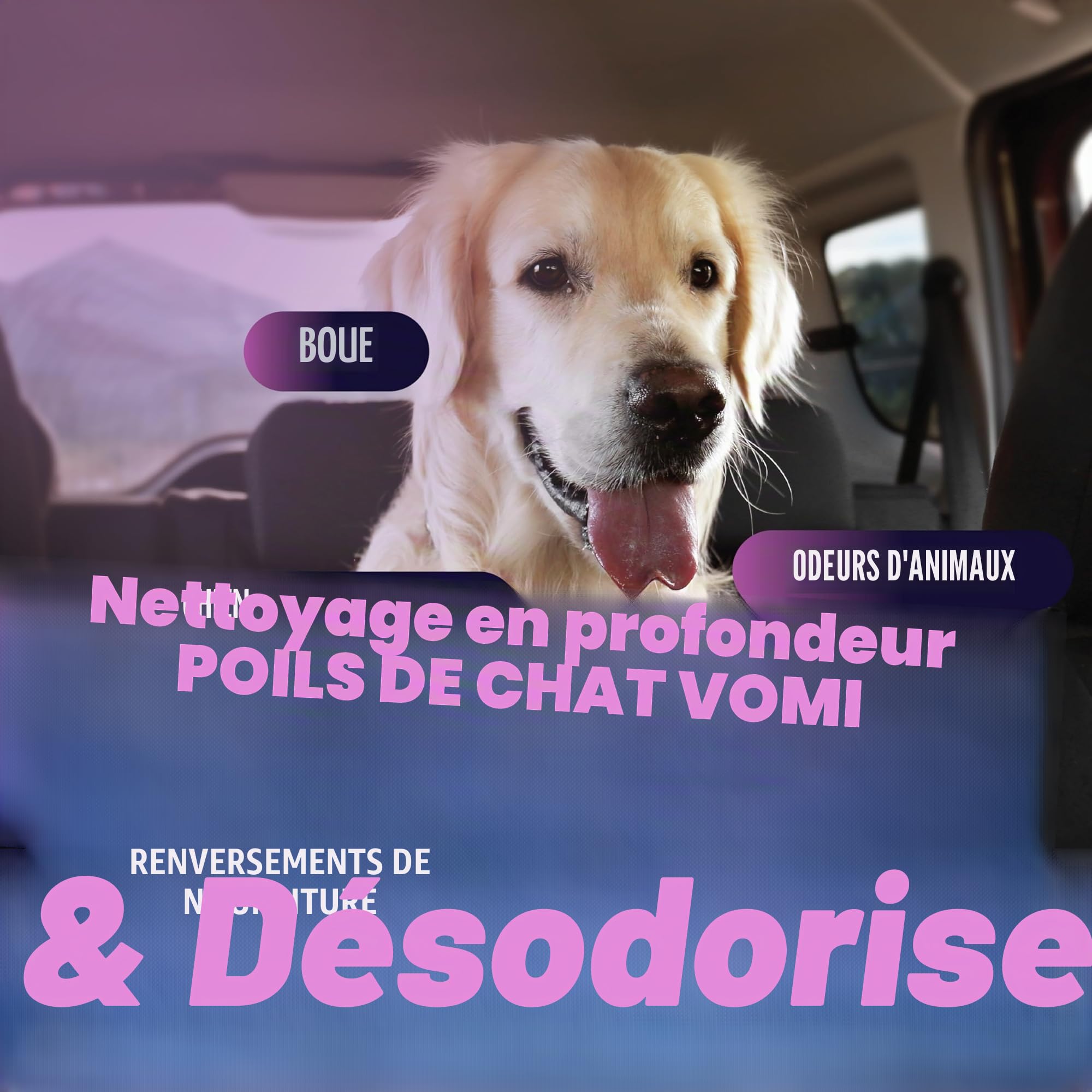 Dirtbusters Solution shampooing nettoyage tapis tissus voiture 5 litre | Habillage intérieur de voiture, Pour machines à tapis moquette