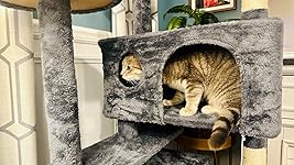 Review Image by Jessica G. Jessica G.