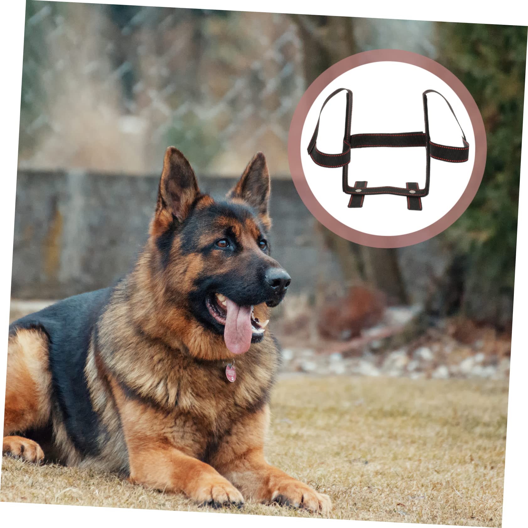 3juegos Soporte De Orejas para Perros Herramienta para Orejas De Cachorro Accesorio Duradero para Perros De Razas