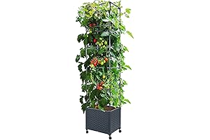 Elevated Gardening Solution: LINEX Raised Garden Container for Lush Plant Growth