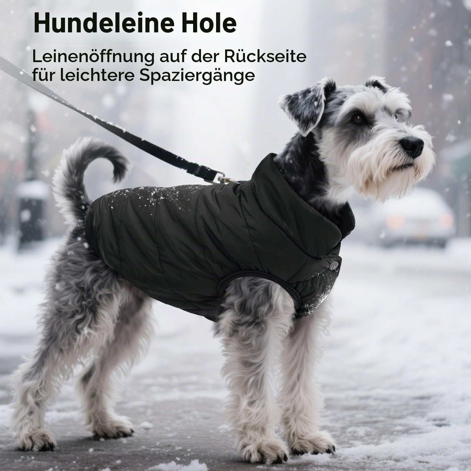 ASENKU Hundemantel Winter L – wasserdichte Hundejacke für mittelgroße Hunde | mit Geschirröffnung, Fleece, Druckknöpfe, Wintermantel & Winterjacken Ideal für Spaziergänge und Spiel im Freien bei Kälte.