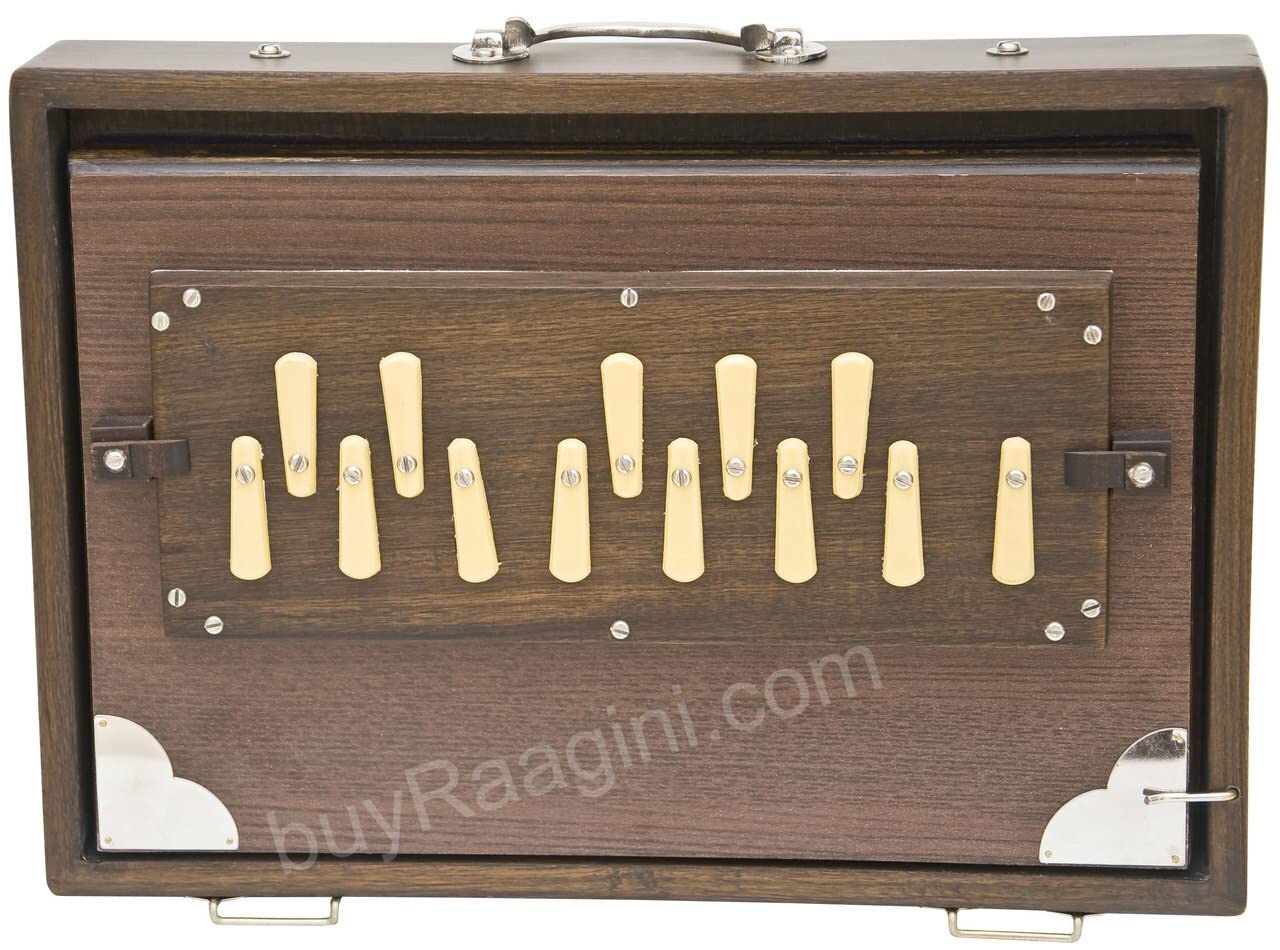 Shruti Box Instrument, Maharaja Musicals, klein, 33 x 9,5 x 7,6 cm, blemished, mit Tasche, Walnussfarbe, 13 Noten, Sur Peti Surpeti, indisches Musikinstrument (PDI-FAH)