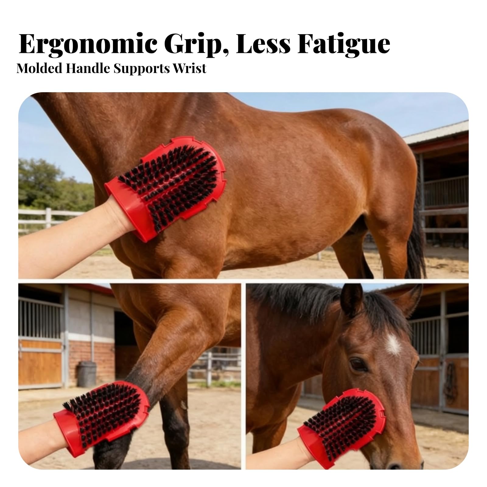 Kit Limpieza para Caballos Resistente | Portátil, Kit Aseo para Caballos con Almodilla, Juego Cepillos para Caballo, Hípica