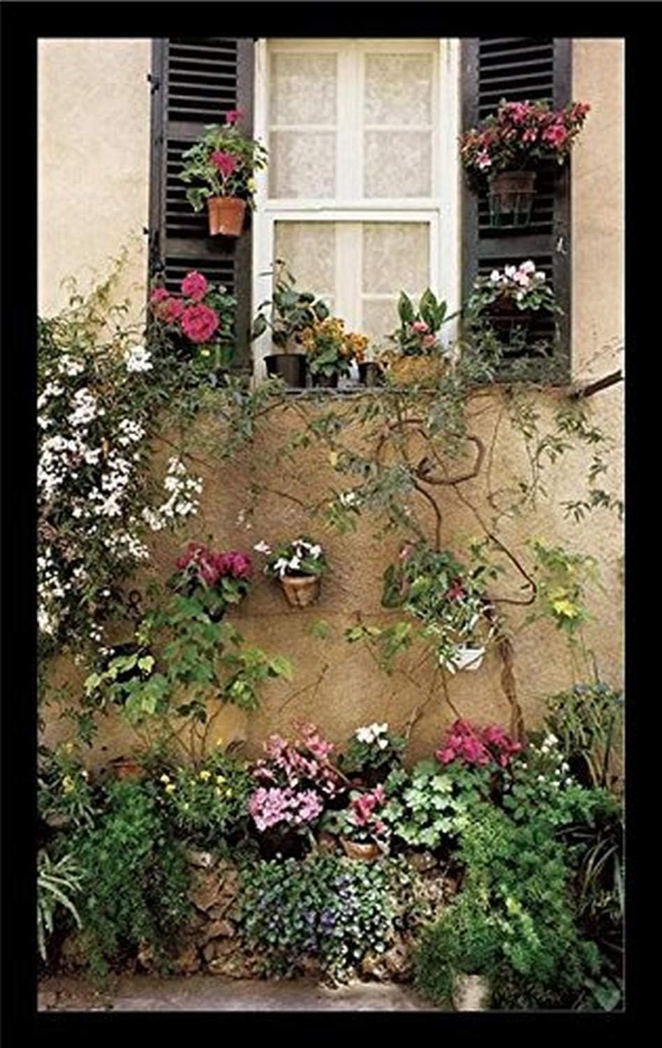 Framed Flower Window Valbonne Provence France by Dennis Barloga 22x13 Photograph Art Print Poster