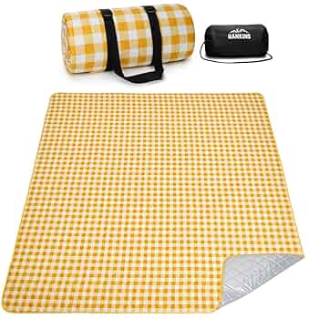 BURTON レジャーシート 希少品 Amazon.co.jp: OutPort レジャー