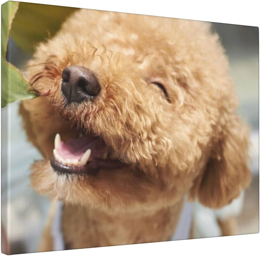 油絵 絵画【トイプードル】 油絵 絵画 【トイプードル】