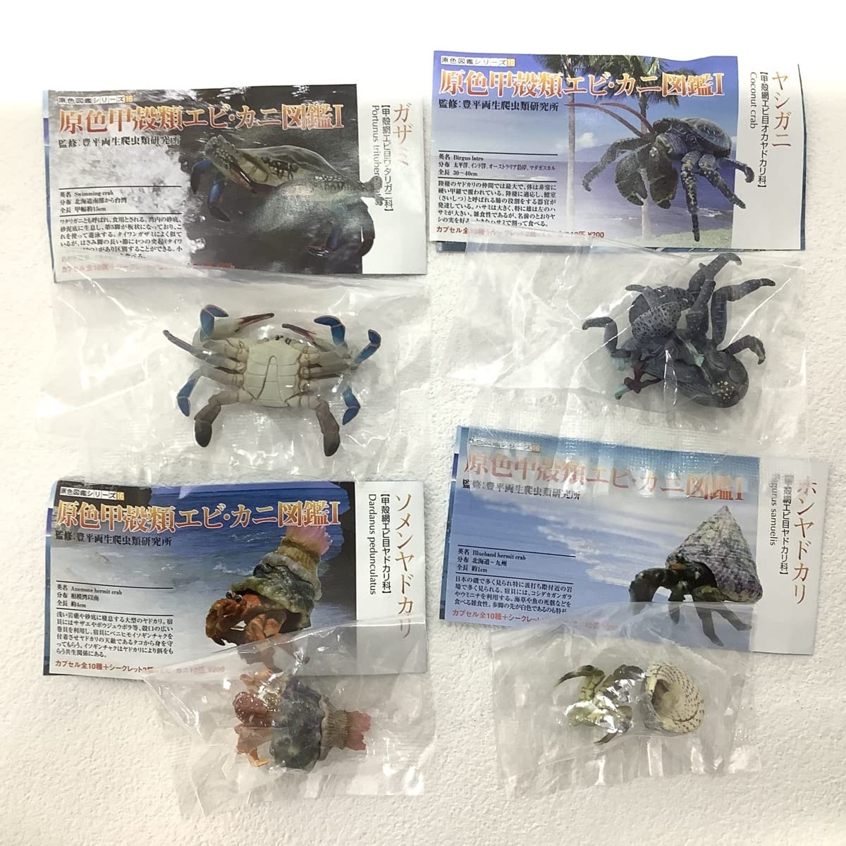 Amazon.co.jp: ユージン 原色甲殻類 エビ・カニ図鑑Ⅰ 収納ボックス付