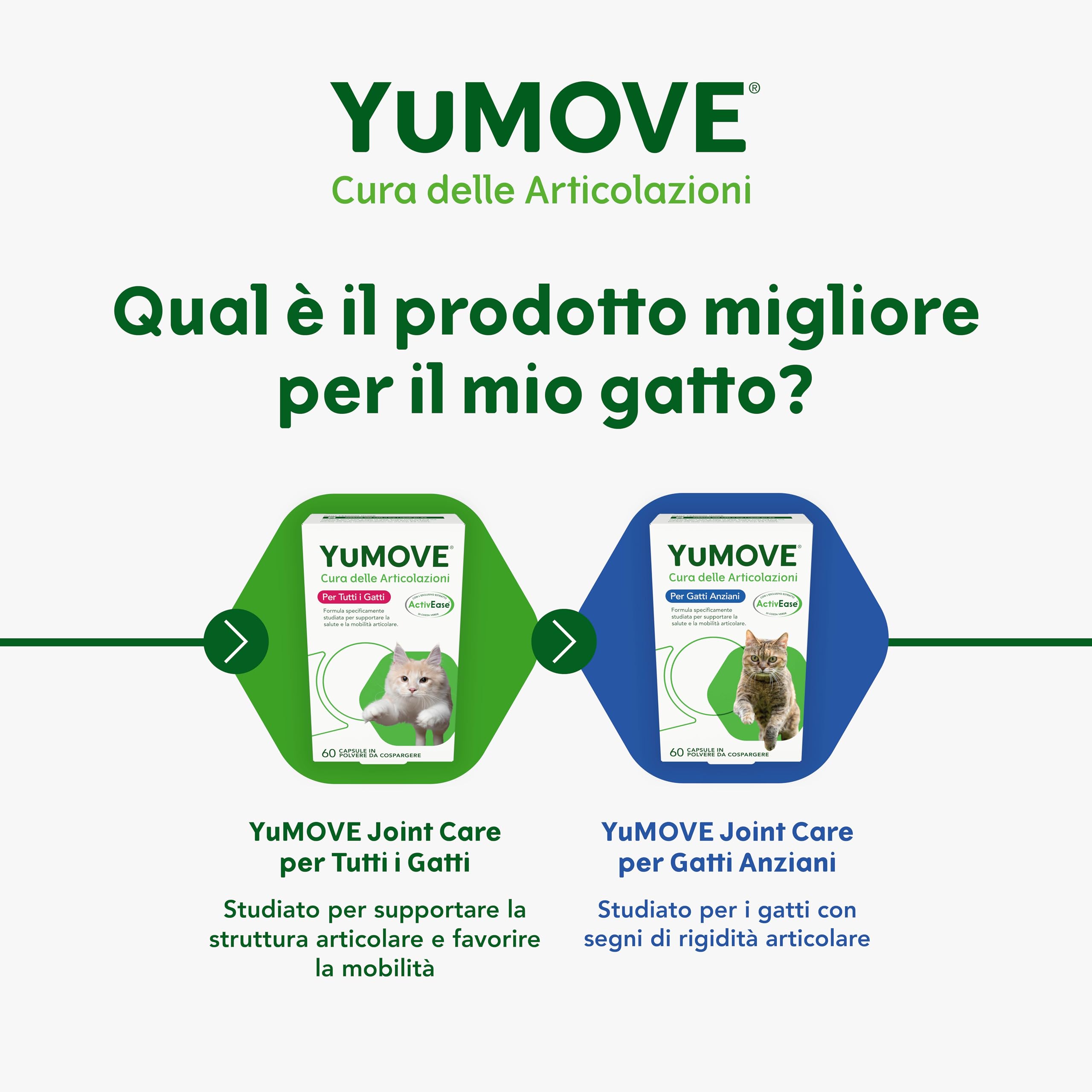 YuMOVE Integratore Articolazioni Gatti 8+ Anni - 60 Capsule Da Spolverare - In Attesa di Brevetto 100mg di Cozza Verde ActivEase per Capsule - Joint Care Gatti Articolazioni Glucosamina & Condoitina