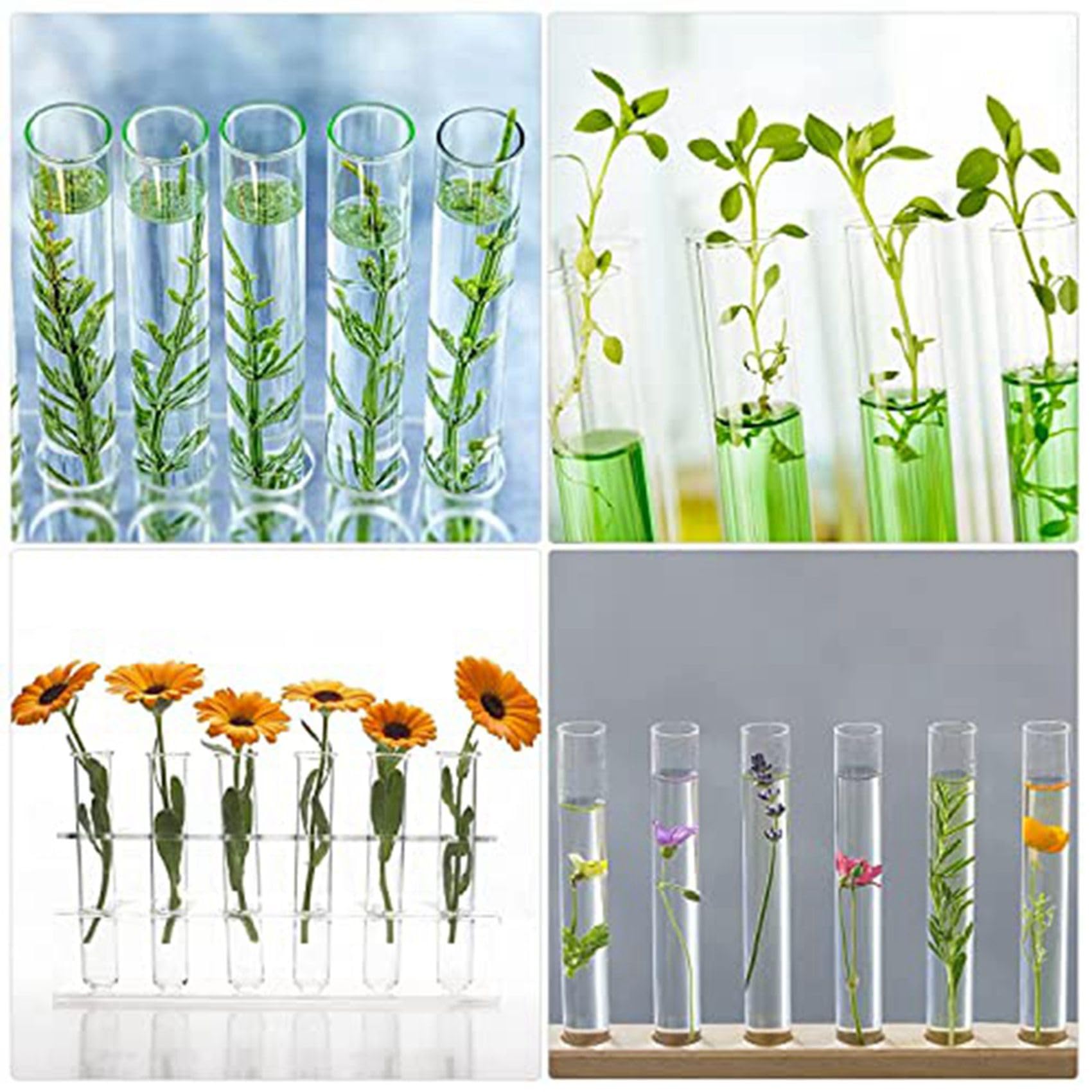 Paquete de 160 Tubos de Ensayo de Plástico con Corcho, Tubos de Ensayo de 20 Ml para Flores, para Manualidades, Dulces, Líquidos, Flores, 150 X 16 Mm