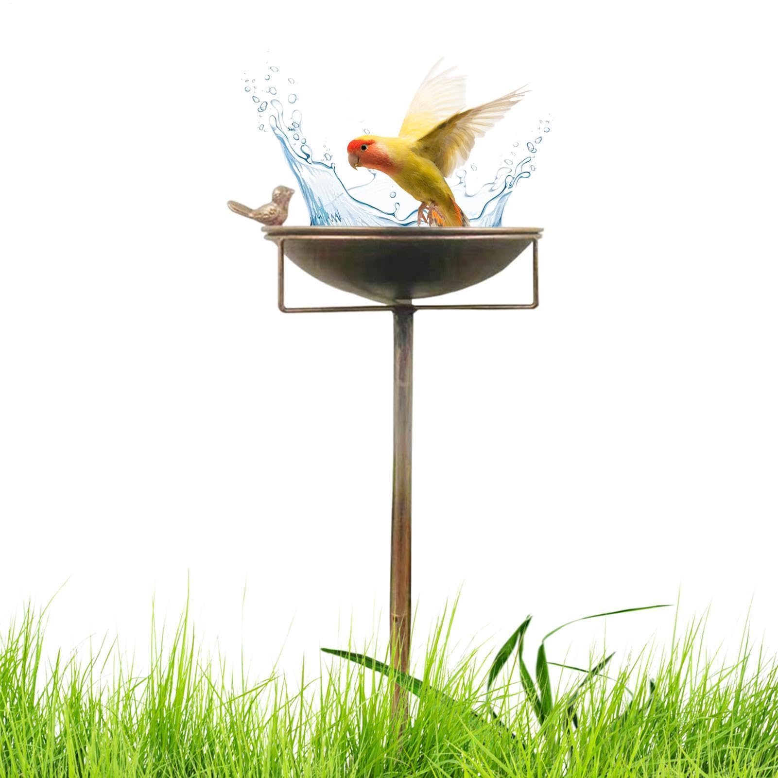 Bain d'oiseaux métallique durable pour embellir le jardin d'été