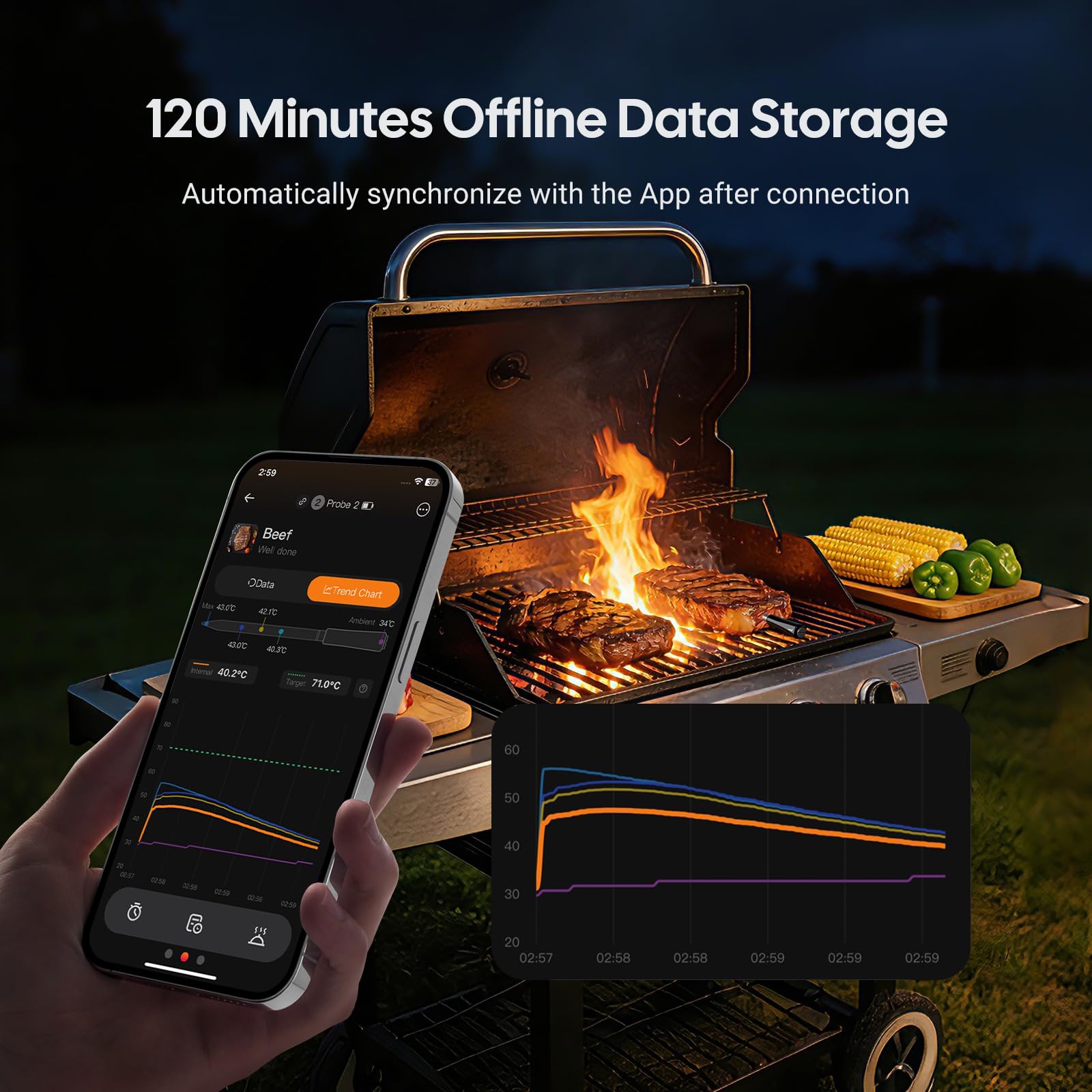INKBIRD INT-33-BW - Termometro da carne senza fili, WiFi 5G e Bluetooth 5.4, con 3 sonde, sensore multisensore