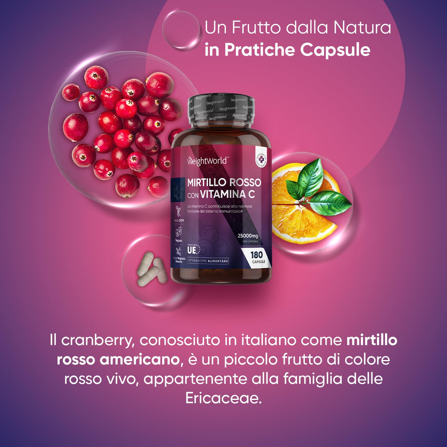 Mirtillo Rosso Vegano,180 Cranberry Capsule con Vit C, 6 Mesi, da 25000mg per Capsula, Cranberry Integratore Alimentare Estratto 50:1 con Vitamina C (come Acido L-Ascorbico), Senza Magnesio Stearato