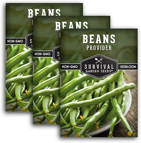 Survival Garden Seeds - Semilla de frijol de arbusto para plantar - 3 paquetes con instrucciones para plantar y cultivar frijoles verdes sin cuerda