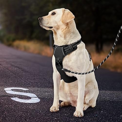 Miniatura 6 de IVY&LANE Arnés sin tirones para perros medianos, arnés de chaleco para perro con correa, cinturón de seguridad y correa de almacenamiento, arnés