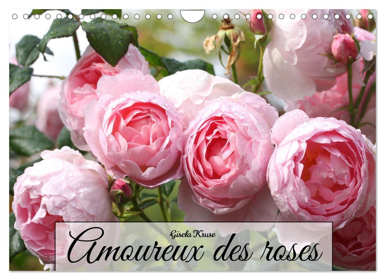 Amoureux des roses (Calendrier mural 2023 DIN A4 horizontal): Vues variées sur le motif infini de la rose (Calendrier mensuel, 14 Pages )