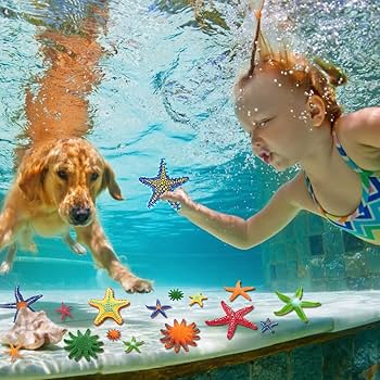 Amazon.com: YUJUN 16 Pieces Big Diving Pool Toys, Beach