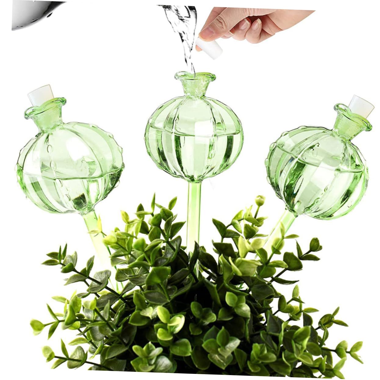 Globe D'arrosage Automatique Cactus Vert 4 Pièces en Verre Borosilicate