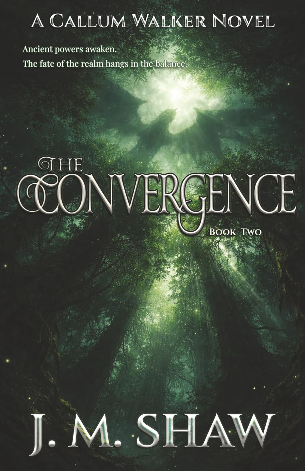 The Convergence: Second Novel in the Callum Walker Series