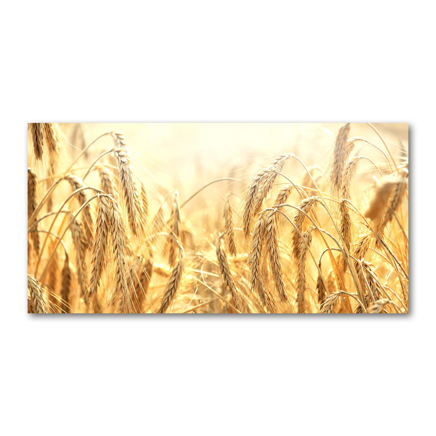 Impression sur verre fleurs plantes décoration murale salon beige 120x60