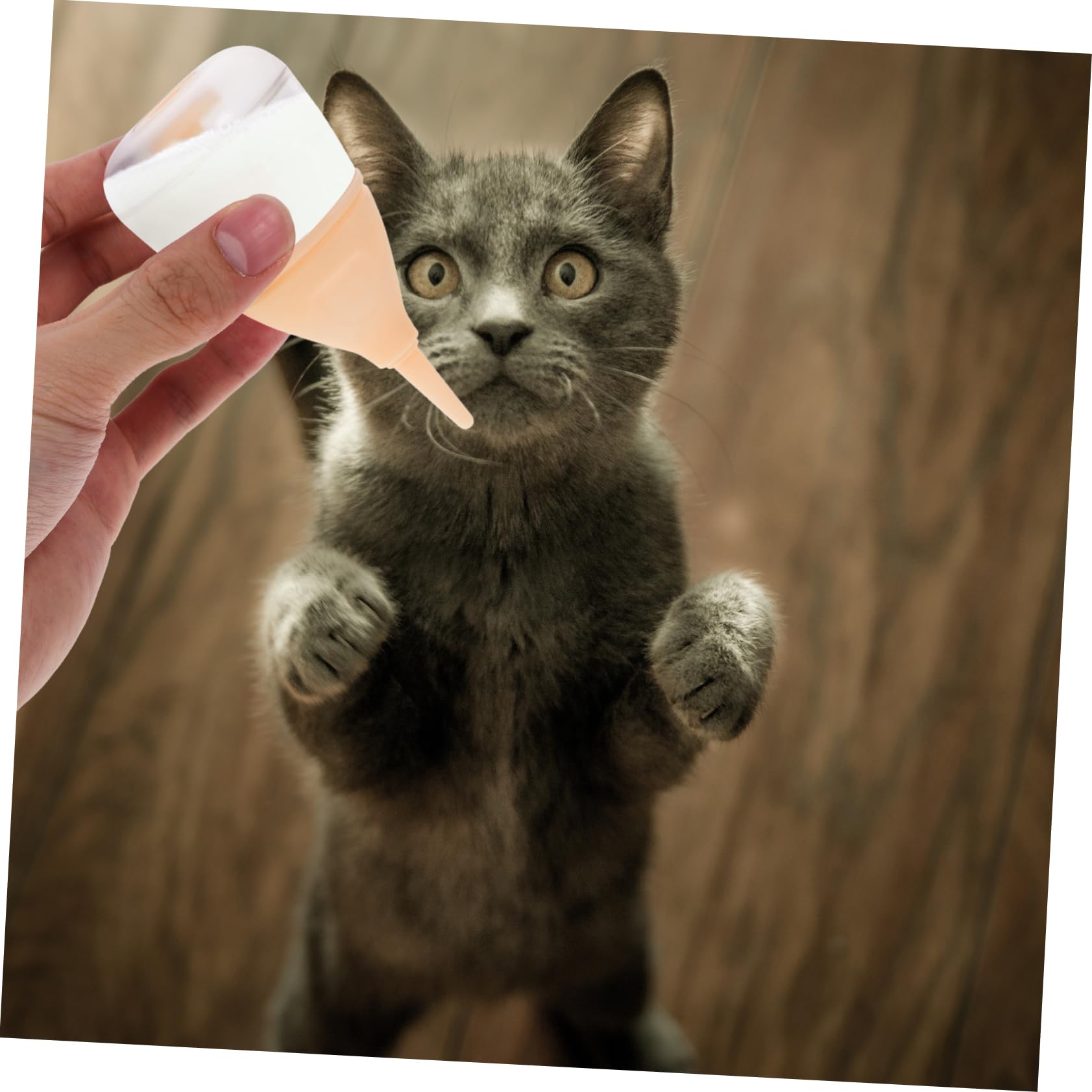 SEWOART Pet Bottle Kit Cat Milk Feeder Puppy Feeder Bottle Small Nursing Bottle Kitten Milk Feeder Easy to Cle