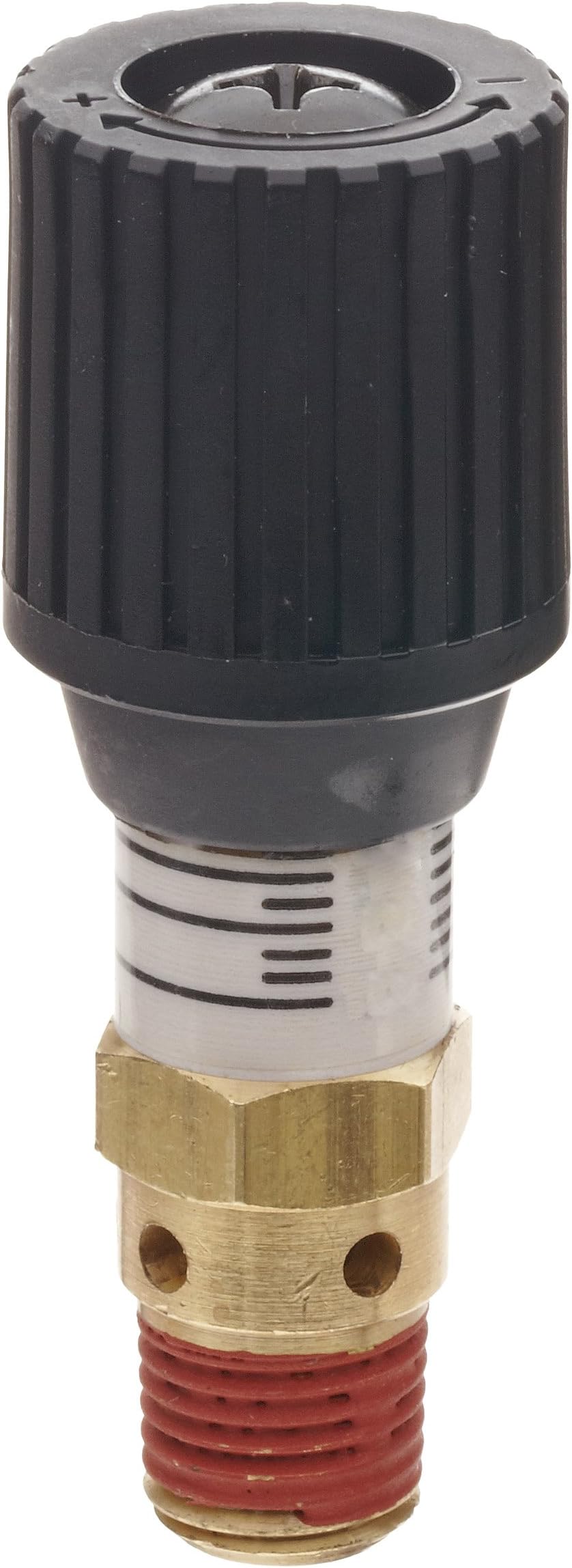 CR Series Brass Pressure Relief Valve, 0-100 psi Adjustable Pressure Range, 1/4" Male NPT