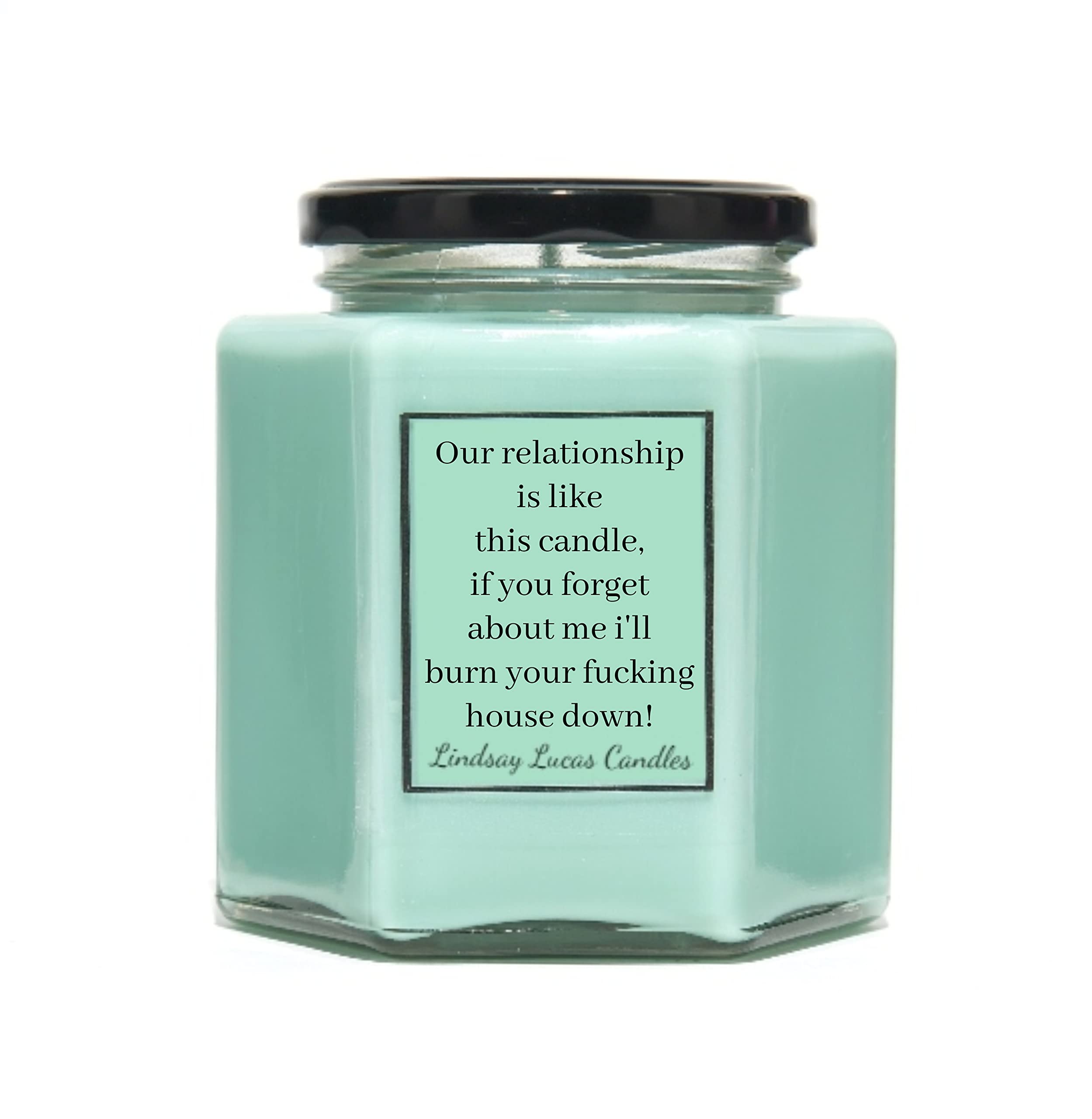 Funny Relationship Scented Candle Gift - Our relationship is like this candle (Cinnamon Apple, Large)