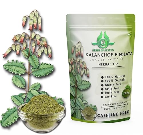 100g Kalanchoe Pinnata Leaves Powder - Healthly Natural Leaves Powder