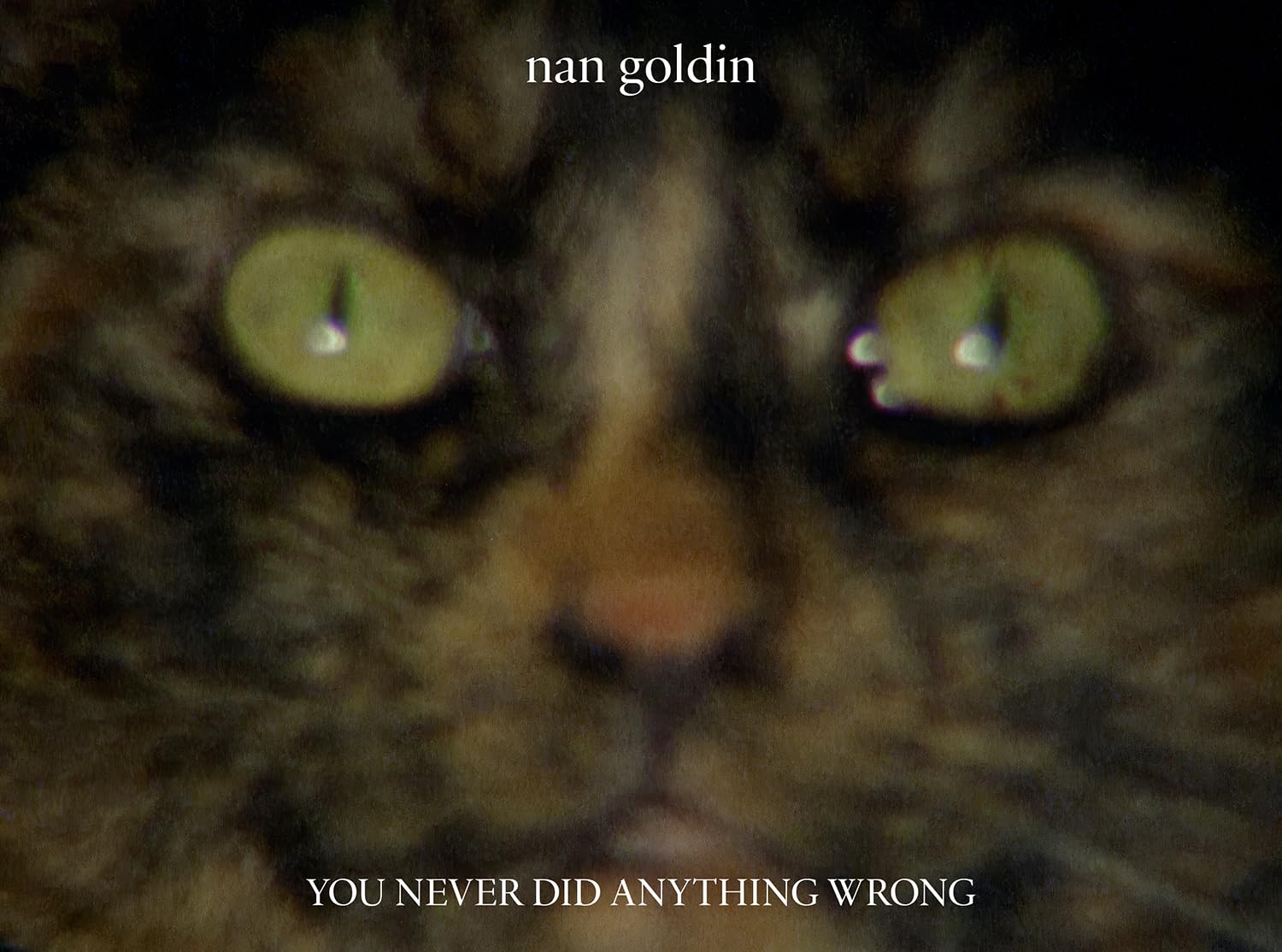 Nan Goldin: You Never Did Anything Wrong