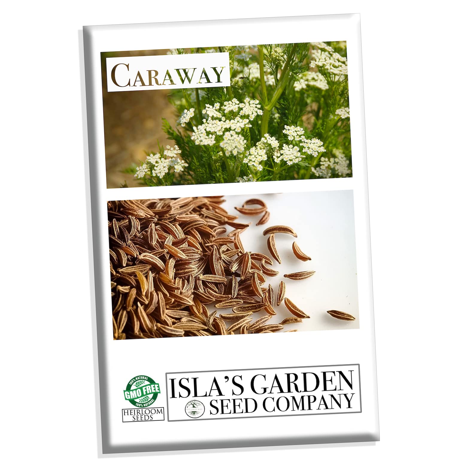 Caraway Herb Seeds for Planting, 250+ Seeds Per Packet, (Isla's Garden Seeds), Non GMO & Heirloom Seeds, Scientific Name: Carum Carvi, Great Herb Garden Gift