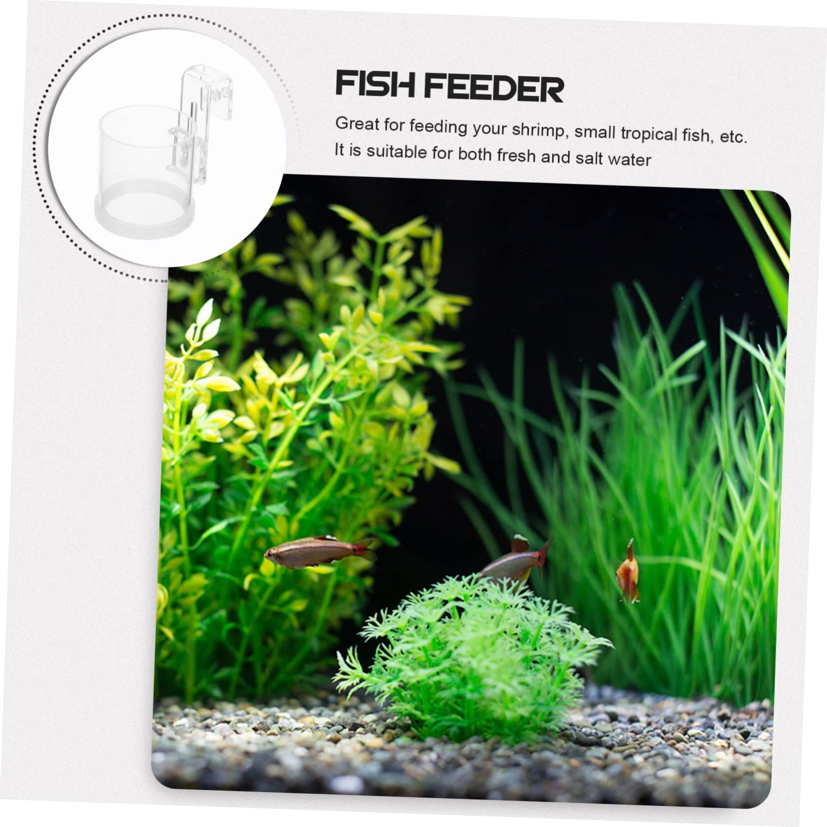 FOMIYES 4piezas Anillo De Alimentación Acrílico para Peces Acuario Comedero Flotante para Alimento Diseño para Evitar Desperdicio De Comida para Alimentar Peces Planktonicos y Flotantes