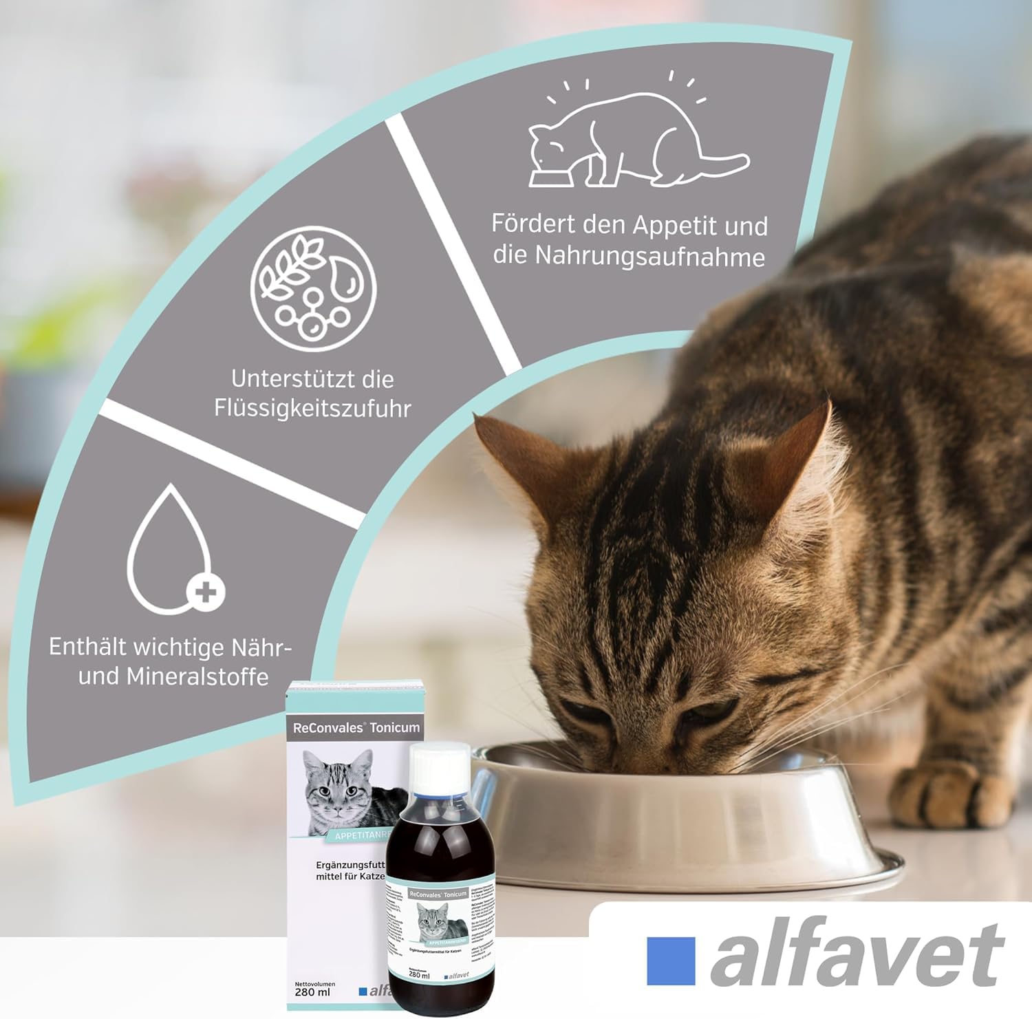 alfavet ReConvales Tonicum Chat, Multipack, complément Alimentaire diététique Stimulant l'appétit pour la Convalescence et en Cas de Poids insuffisant, 12 x 45 ML