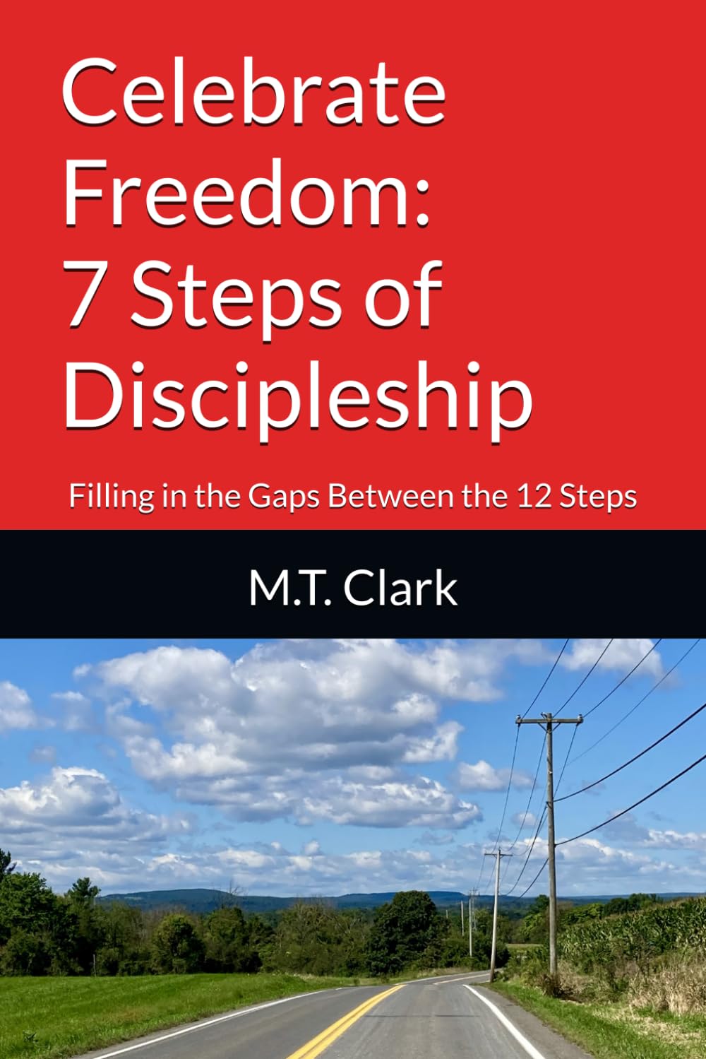 Celebrate Freedom: 7 Steps of Discipleship: Filling in the Gaps Between the 12 Steps (MT 4 Christ Christian Life Series)