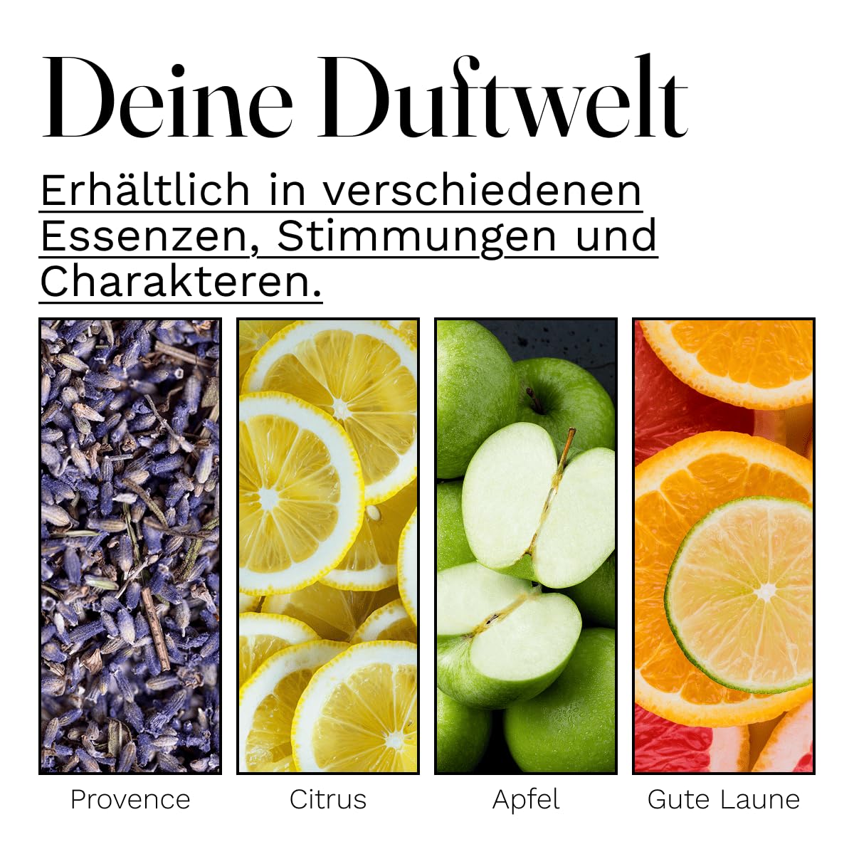 NaturGut Wäsche Fresh Provence Lavendel Wäscheduft 3er Set Sparpaket