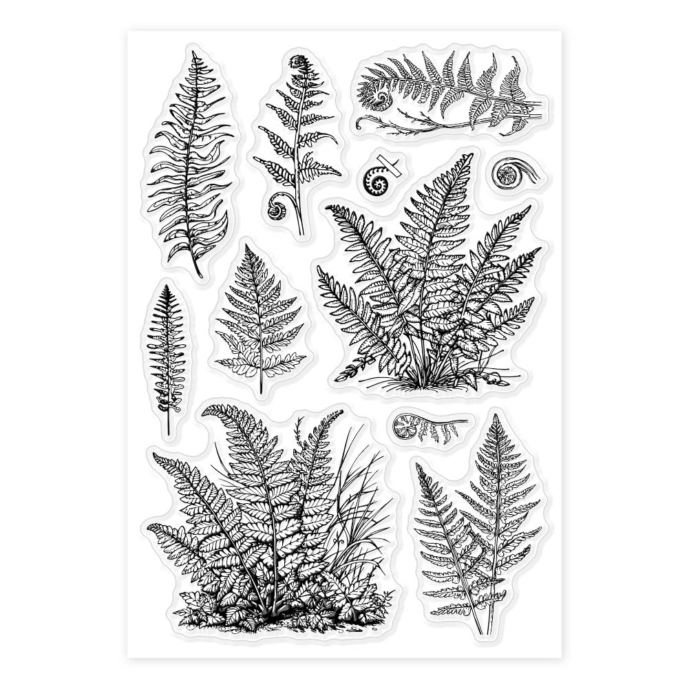 GLOBLELAND Trasparenti Timbri in Silicone a Forma di Foglia 11x16 cm per Biglietti Fai da te Scrapbooking