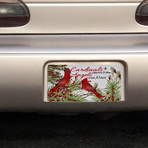 Miniatura 7 de Placa de metal para automóvil, los cardenales aparecen cuando los ángeles están cerca de la novedad, placa frontal decorativa para el Día de los