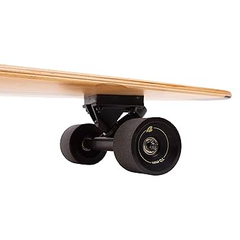 Retrospec Zed Pintail Longboard Skateboard Complete Cruiser