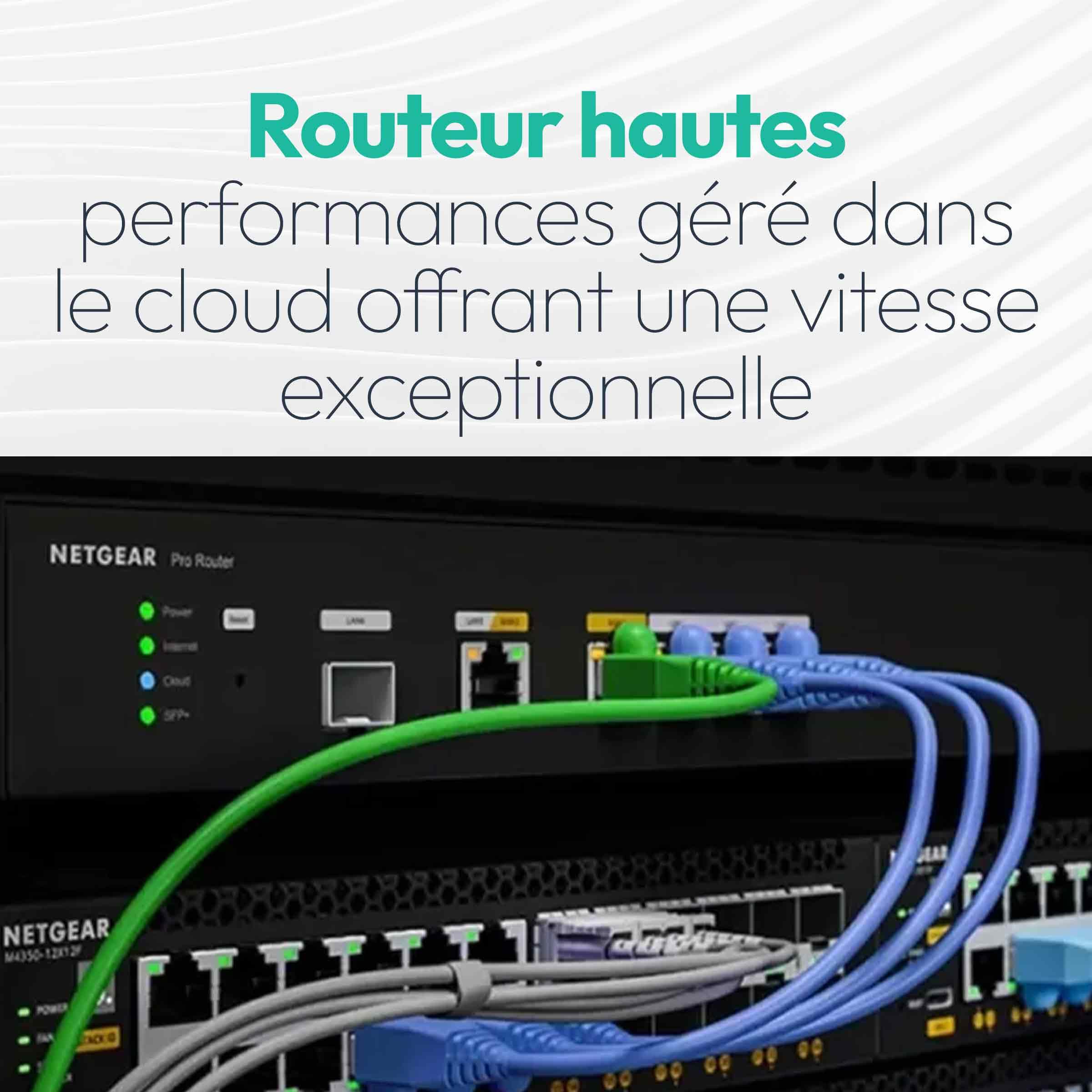 NETGEAR Routeur Pro 10 Gbit/Multi-Gigabit Dual-WAN avec Management Cloud Insight (PR60X) – 10 Gbit SPF+ - avec basculement en Cas de défaillance – 32 VLAN - Configuration VPN IPSec – Rackable