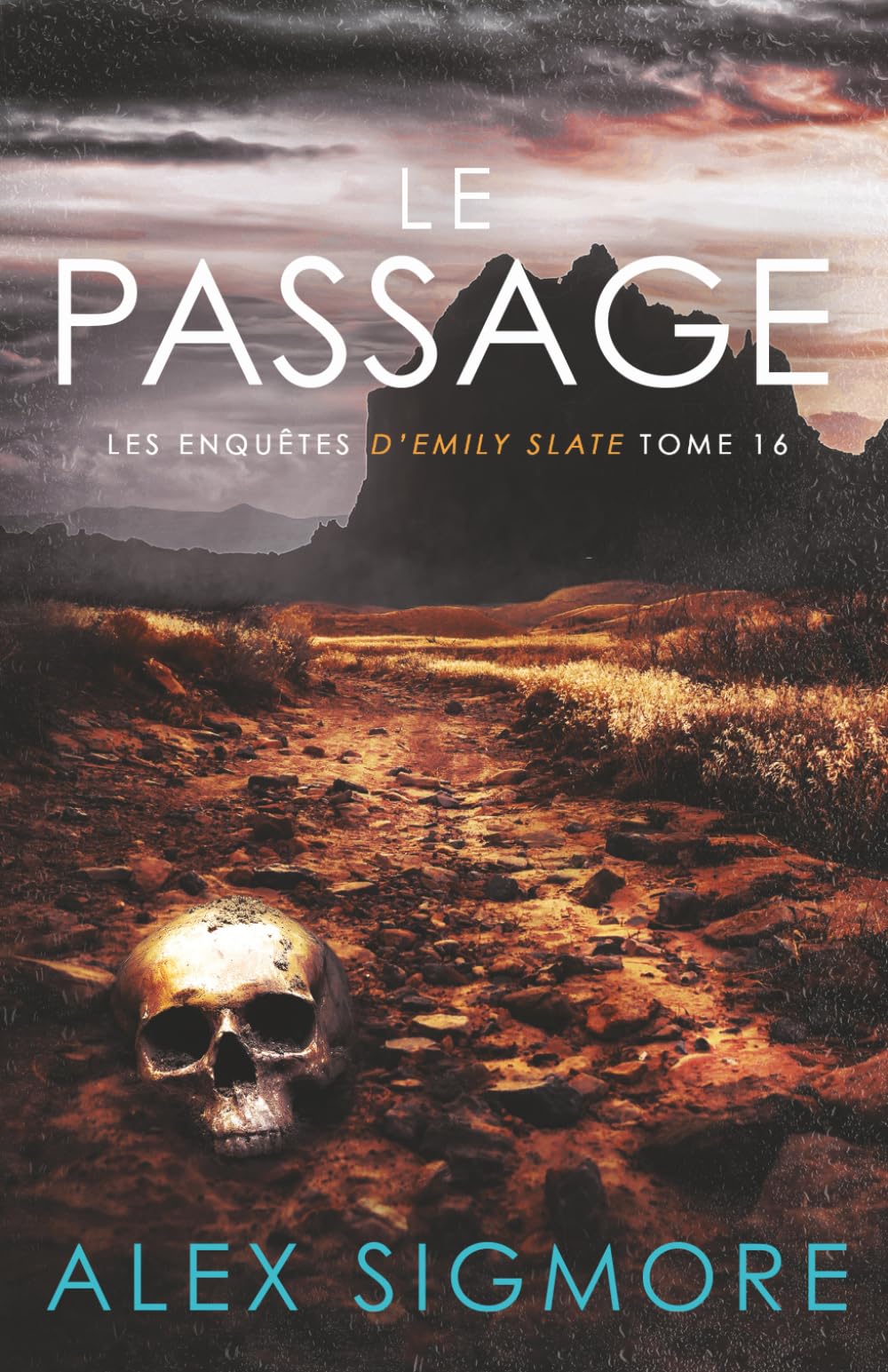 Le Passage (Les Enquêtes d'Emily Slate)