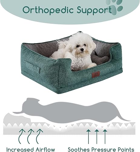 Miniatura 2 de Hollypet Cama ortopédica rectangular para perros pequeños, cama de espuma de apoyo para mascotas con funda impermeable extraíble lavable y parte
