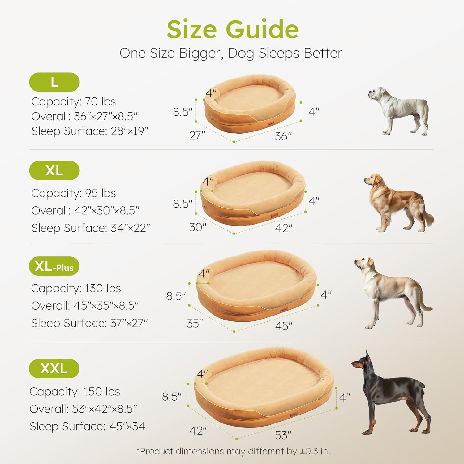 Size guide for CWAWZ dog beds, showing dimensions for L, XL, XL-Plus, and XXL sizes with corresponding dog breeds.
