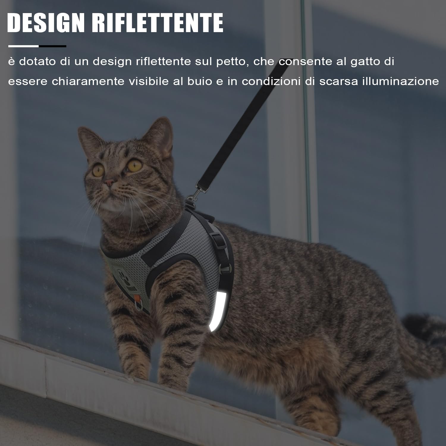 Pettorina e Guinzaglio per Cani, Pettorina Riflettente per Cuccioli, Set di imbracatura e guinzaglio per cuccioli, gatti e gattini (Grigio, S)