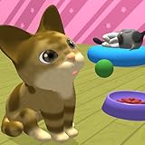The cat collection game, 