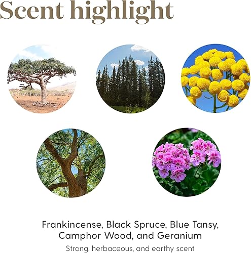 Vista 80 de Aceite esencial de franquincienso, 0.17 onzas líquidas, de Young Living Essential Oils