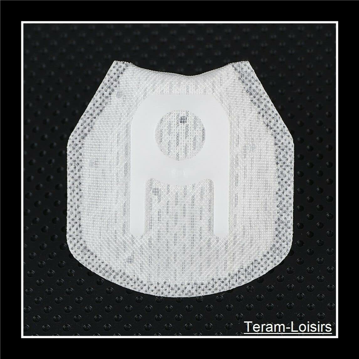 TERAM LOISIRS Filtre Pompe à Essence Compatible pour Suzuki GSF 1250 Bandit 1250 de 2007 à 2016 Neuf France