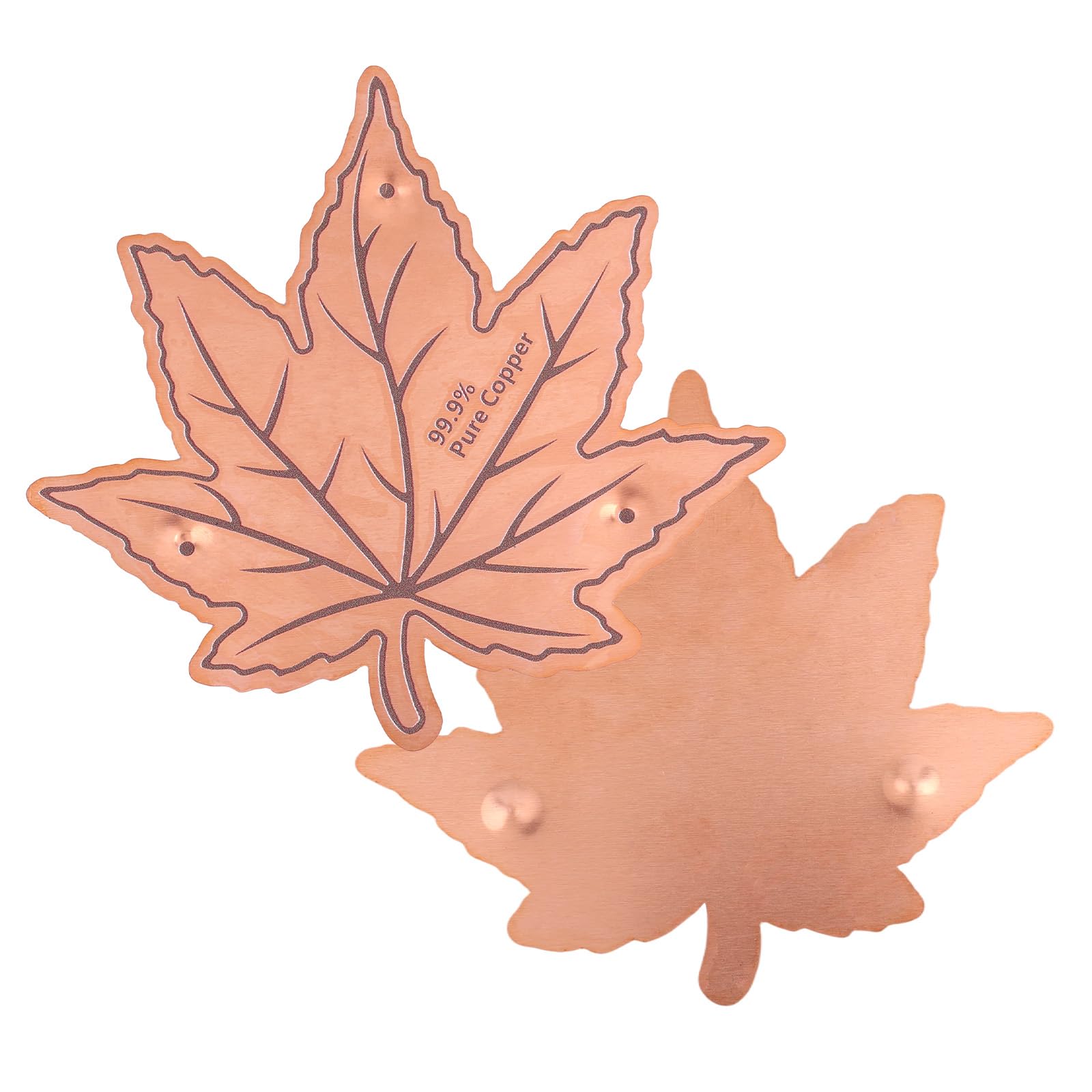 BOXOB Pure Copper Bird Bath Purification Disk, Bird Bath Cleaner with Triple Point Support All Season Safe Water Purifier Universal Fit for Outdoor Birdbaths & Bowls (Maple Leaf)