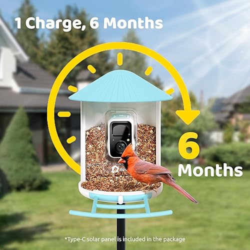 Miniatura 9 de NETVUE Birdfy Hummee - Alimentador inteligente para colibríes con cámara, captura automática de videos de pájaros y observación de aves de cerca,