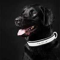 Vista 4 de Senristar Collar de perro de cuero reflectante personalizado con forro cálido, collar de perro personalizado con placa de nombre grabada para perros